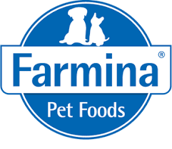 farmina caes malteses filhotes de maltes Canil Maltes   Criador de Maltes em SP | Filhotes de Maltes