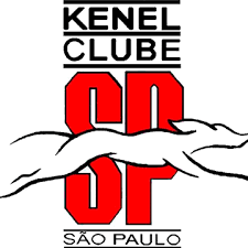 download 1 Canil Maltes   Criador de Maltes em SP | Filhotes de Maltes