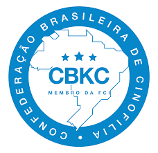 download Canil Maltes   Criador de Maltes em SP | Filhotes de Maltes