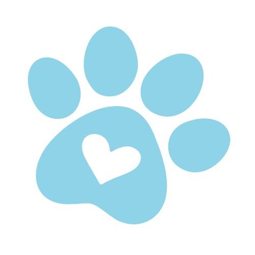 filhotes de maltes em sp Canil Maltes   Criador de Maltes em SP | Filhotes de Maltes